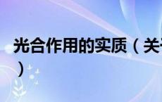 光合作用的实质（关于光合作用的实质的介绍）