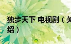 独步天下 电视剧（关于独步天下 电视剧的介绍）