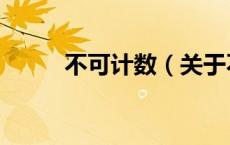 不可计数（关于不可计数的介绍）