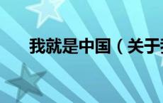 我就是中国（关于我就是中国的介绍）