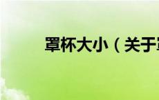 罩杯大小（关于罩杯大小的介绍）