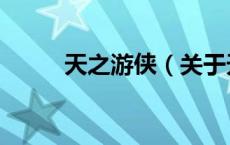 天之游侠（关于天之游侠的介绍）