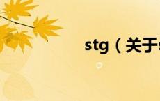 stg（关于stg的介绍）