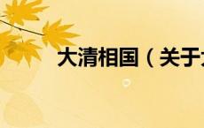 大清相国（关于大清相国的介绍）