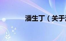 潘生丁（关于潘生丁的介绍）
