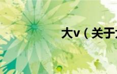 大v（关于大v的介绍）