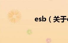 esb（关于esb的介绍）