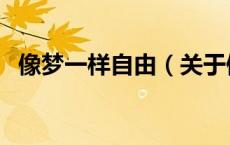 像梦一样自由（关于像梦一样自由的介绍）