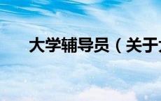 大学辅导员（关于大学辅导员的介绍）