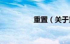 重置（关于重置的介绍）