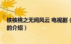 铁核桃之无间风云 电视剧（关于铁核桃之无间风云 电视剧的介绍）
