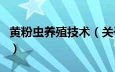 黄粉虫养殖技术（关于黄粉虫养殖技术的介绍）