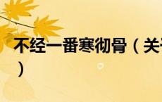 不经一番寒彻骨（关于不经一番寒彻骨的介绍）