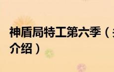 神盾局特工第六季（关于神盾局特工第六季的介绍）