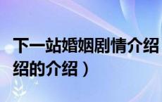 下一站婚姻剧情介绍（关于下一站婚姻剧情介绍的介绍）