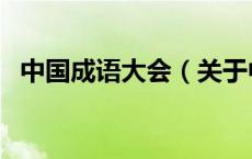中国成语大会（关于中国成语大会的介绍）