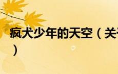 疯犬少年的天空（关于疯犬少年的天空的介绍）