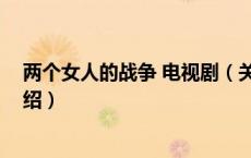 两个女人的战争 电视剧（关于两个女人的战争 电视剧的介绍）