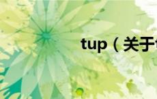 tup（关于tup的介绍）