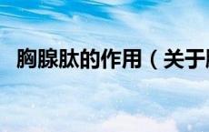 胸腺肽的作用（关于胸腺肽的作用的介绍）