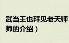 武当王也拜见老天师（关于武当王也拜见老天师的介绍）