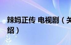 辣妈正传 电视剧（关于辣妈正传 电视剧的介绍）