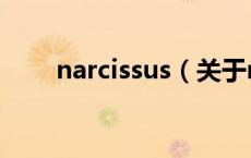narcissus（关于narcissus的介绍）