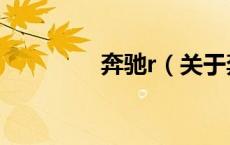 奔驰r（关于奔驰r的介绍）