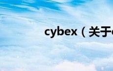 cybex（关于cybex的介绍）