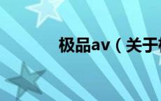 极品av（关于极品av的介绍）