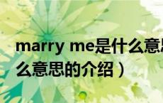marry me是什么意思（关于marry me是什么意思的介绍）