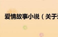 爱情故事小说（关于爱情故事小说的介绍）