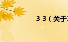 3 3（关于3 3的介绍）