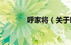 呼家将（关于呼家将的介绍）