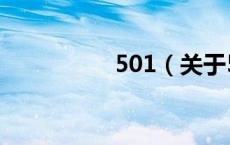 501（关于501的介绍）