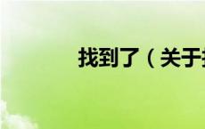找到了（关于找到了的介绍）