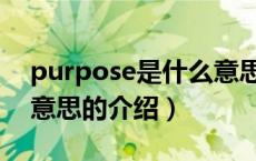 purpose是什么意思（关于purpose是什么意思的介绍）