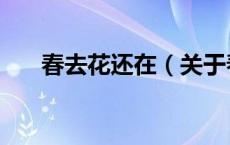 春去花还在（关于春去花还在的介绍）