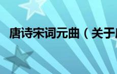 唐诗宋词元曲（关于唐诗宋词元曲的介绍）