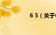 6 5（关于6 5的介绍）