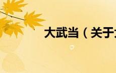 大武当（关于大武当的介绍）