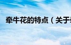牵牛花的特点（关于牵牛花的特点的介绍）
