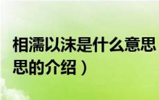 相濡以沫是什么意思（关于相濡以沫是什么意思的介绍）