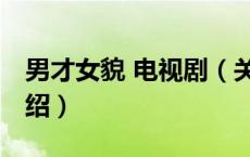 男才女貌 电视剧（关于男才女貌 电视剧的介绍）
