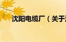 沈阳电缆厂（关于沈阳电缆厂的介绍）