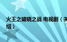 火王之破晓之战 电视剧（关于火王之破晓之战 电视剧的介绍）