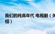 我们的纯真年代 电视剧（关于我们的纯真年代 电视剧的介绍）