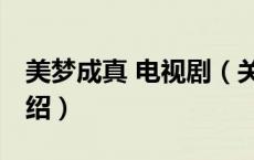 美梦成真 电视剧（关于美梦成真 电视剧的介绍）