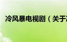 冷风暴电视剧（关于冷风暴电视剧的介绍）