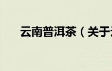 云南普洱茶（关于云南普洱茶的介绍）